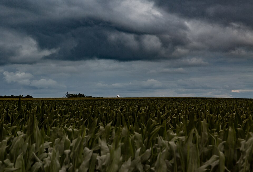 A farm in Fairfax, Minnesota, on a gloomy day.