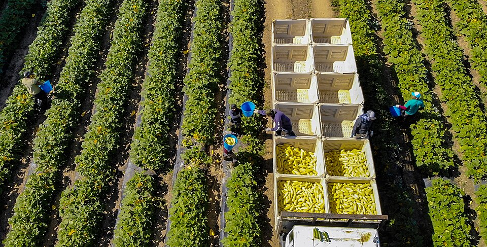 Labor Trafficking Expert Says Forced Labor Hides in Legitimate Industries