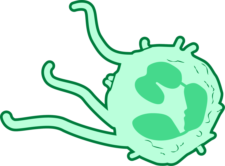Clozapine Neutropenia Risk Peaks Early and Remains Low, Taiwan Study Finds
