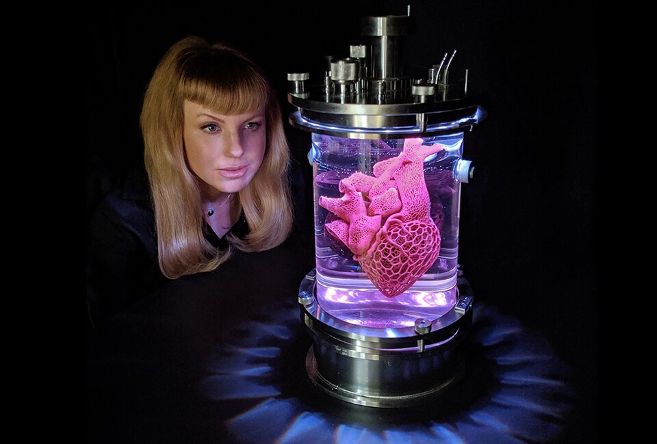 The Heart of Evolution? by Amy Karle, 2019 is a biomechanical sculpture that explores the heart as both a vital organ and as the organ associated with deep emotional feeling at a time where biotechnology and humanity merges. The work questions how bio-medical interventions override natural selection