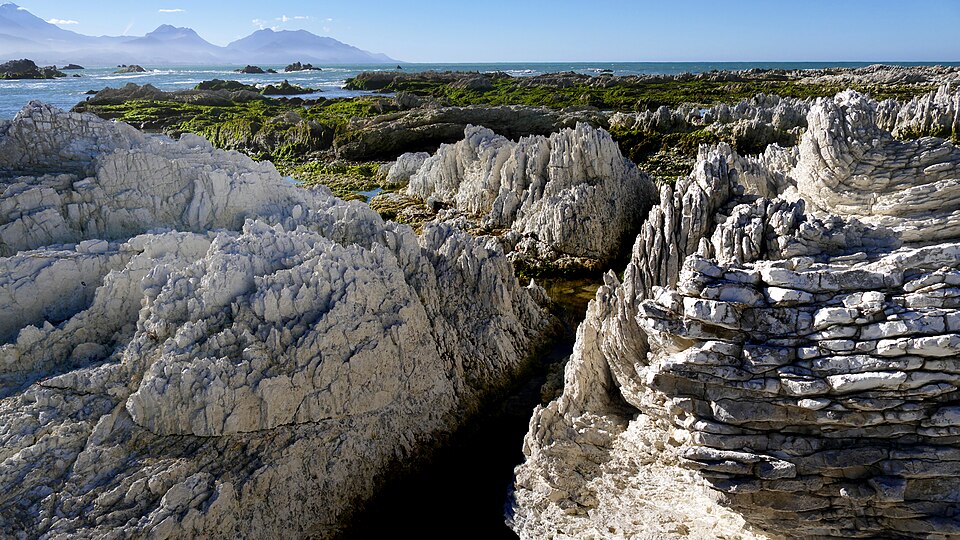 Oligocene tilted folded vertical limestone rocks on coast of Kaikoura South Island New Zealand 

Kaikoura is a coastal town on the South Island of New Zealand. It’s known for its abundant wildlife and its sperm whale population. The Kaikoura Peninsula Walkway winds from the town centre to lookout po