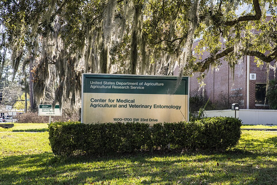 U.S. Department of Agriculture (USDA) Agricultural Research Service (ARS) Center for Medical, Agricultural, and Veterinary Entomology, in Gainesville, FL, on February 24, 2021. Research Entomologist Christopher (Chris) Geden, PhD., studies house flies and stable flies to find chemical insecticide al