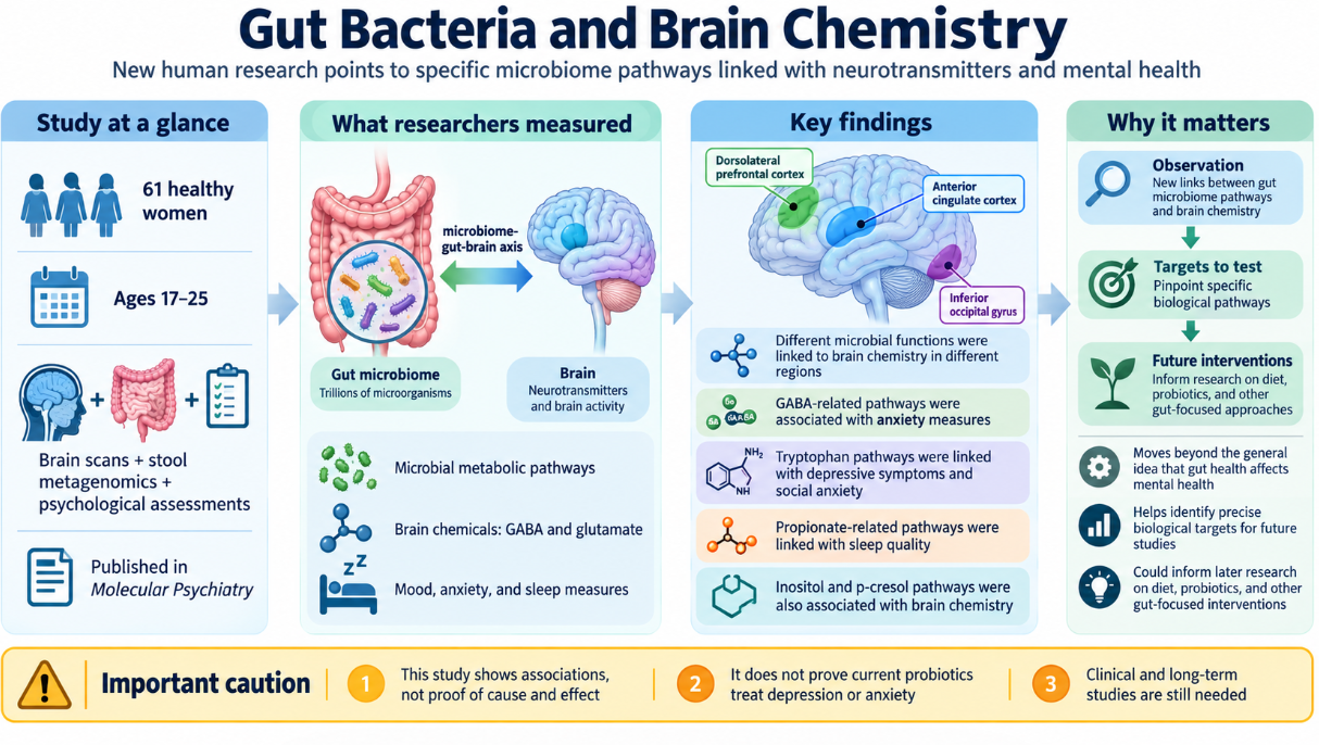 Scientists Identify Gut Pathways That May Connect Digestion to Mental Health