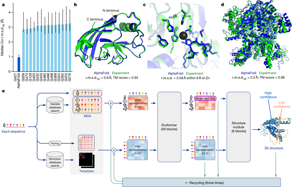 Japanese Researchers Modify AlphaFold3 to Predict Multiple Protein Shapes