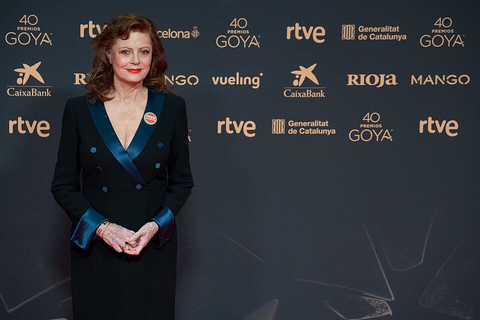 Susan Sarandon Says Agencies Still Telling Producers Not to Hire Her