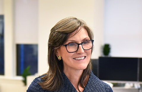Cathie Wood Adds to Cerebras Stake as AI Chip Stock Surges