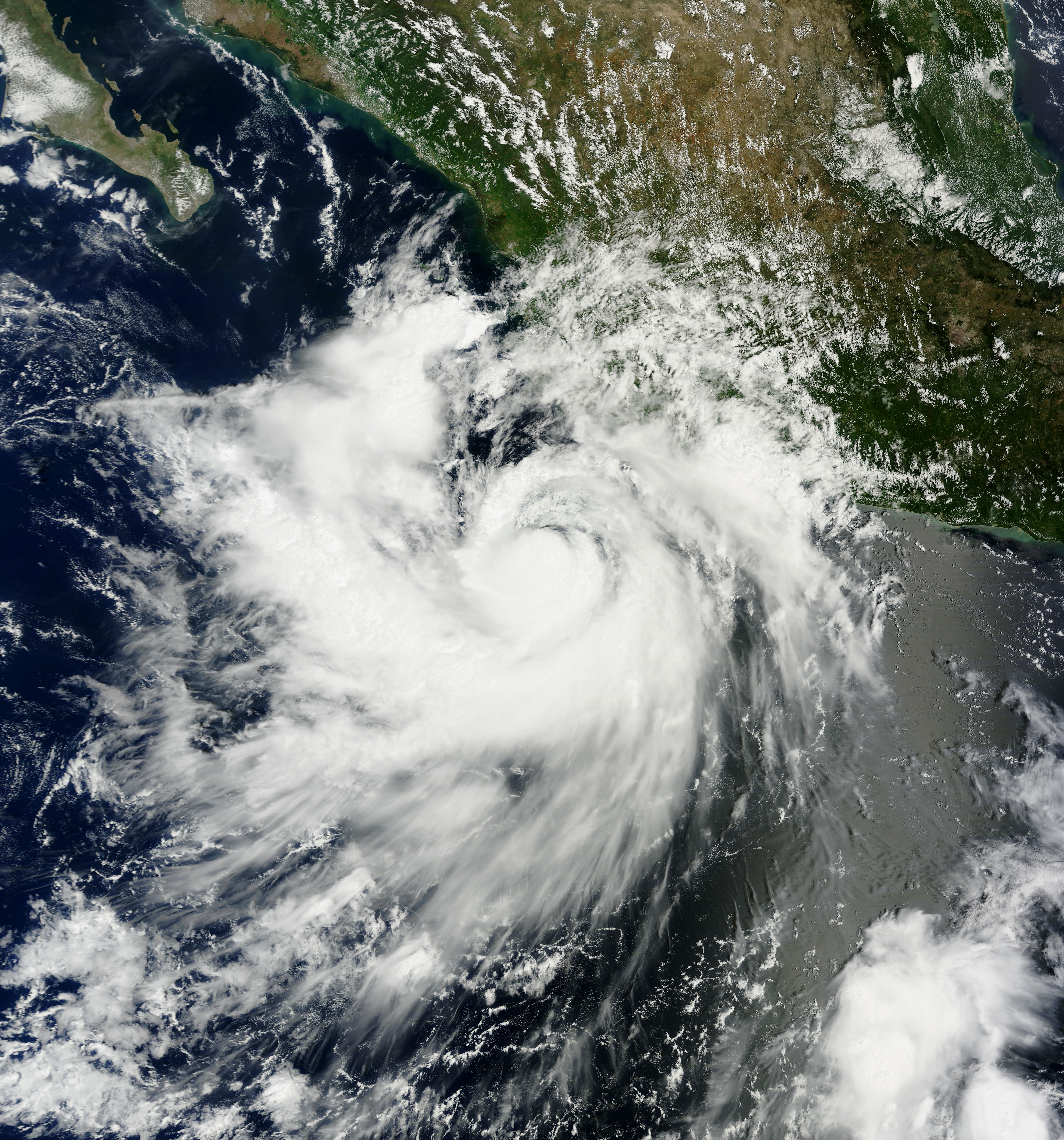 Hurricane Polo Threatens Mexico's Pacific Coast as Category 5 Storm