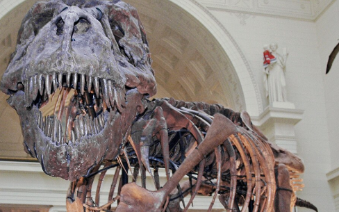 Fossilized Dung Reveals Clues to Bird Extinction as Al Gore Calls for Faster Climate Action